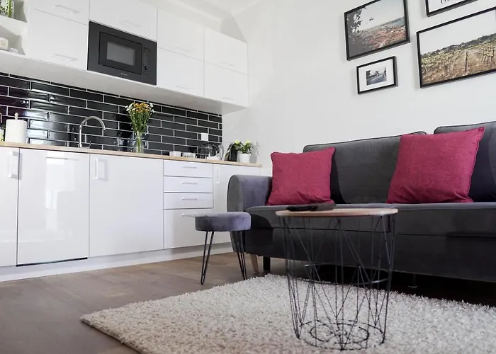 Vizzit Us Premium Apartments